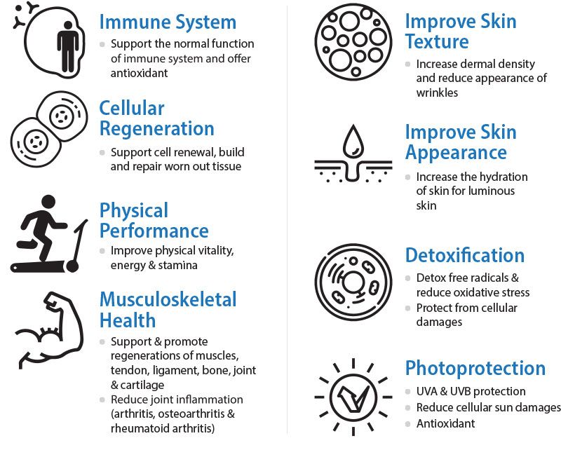 ACTIVATING CELLULAR REGENERATION FROM WITHIN