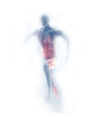 Fytovit Softgels
