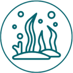Astaxanthin