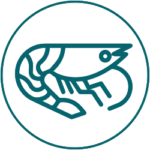 Krill Oil