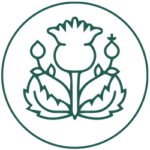 Silybum Marianum Extract