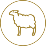 Sheep-Placenta-Extract