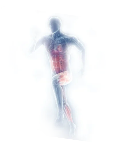 Fytovit Softgels